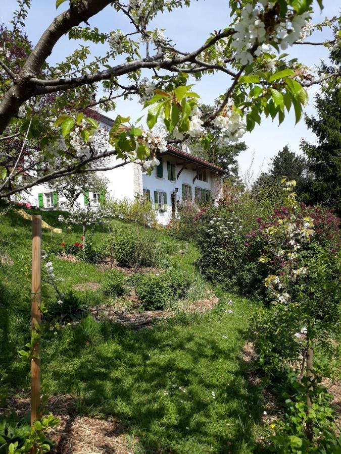Chez Cathy Bed & Breakfast Arzier Exterior photo